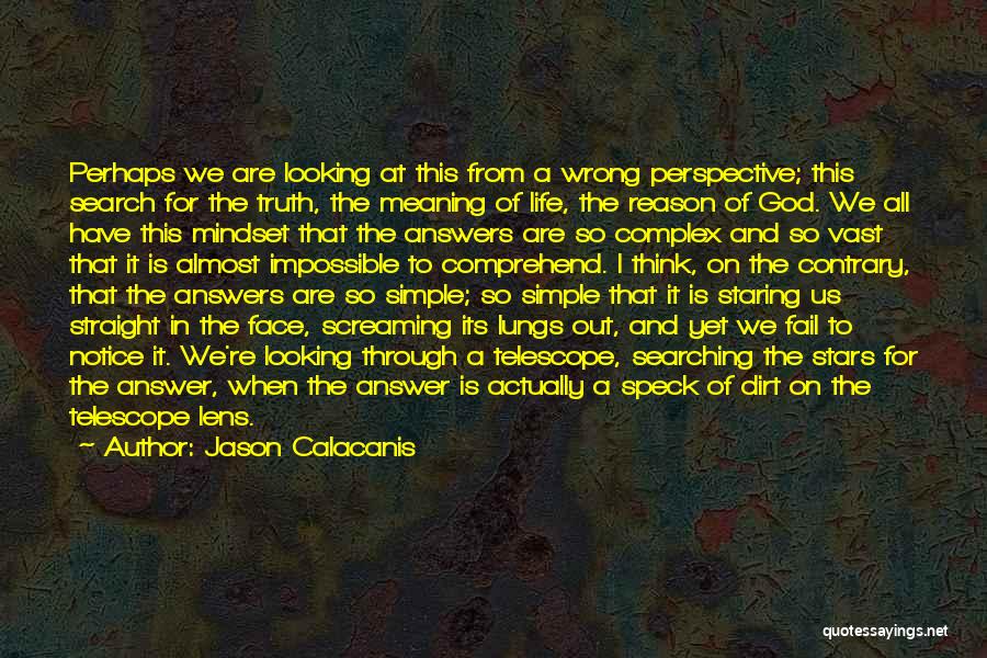 Jason Calacanis Quotes: Perhaps We Are Looking At This From A Wrong Perspective; This Search For The Truth, The Meaning Of Life, The