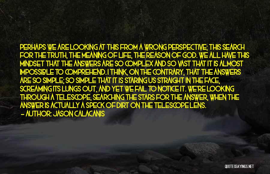 Jason Calacanis Quotes: Perhaps We Are Looking At This From A Wrong Perspective; This Search For The Truth, The Meaning Of Life, The