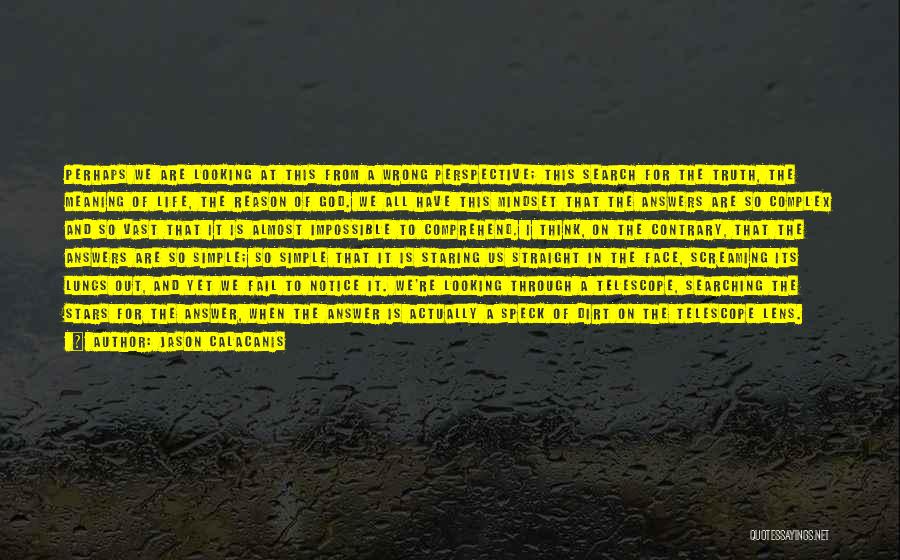 Jason Calacanis Quotes: Perhaps We Are Looking At This From A Wrong Perspective; This Search For The Truth, The Meaning Of Life, The