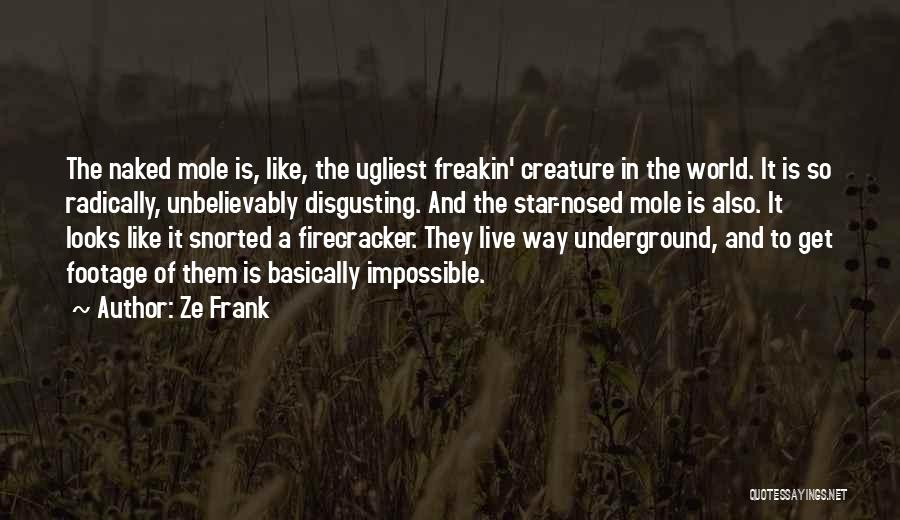 Ze Frank Quotes: The Naked Mole Is, Like, The Ugliest Freakin' Creature In The World. It Is So Radically, Unbelievably Disgusting. And The