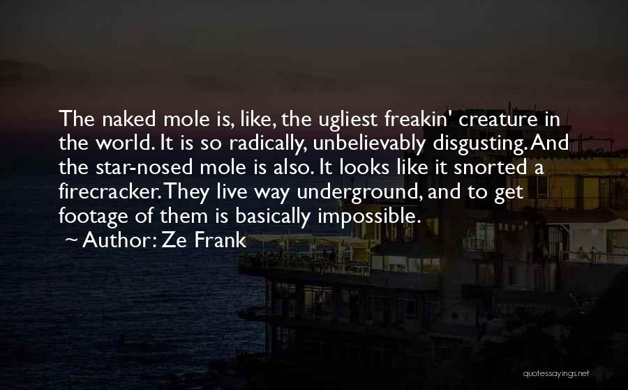 Ze Frank Quotes: The Naked Mole Is, Like, The Ugliest Freakin' Creature In The World. It Is So Radically, Unbelievably Disgusting. And The