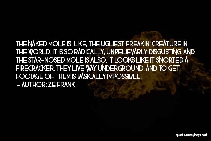 Ze Frank Quotes: The Naked Mole Is, Like, The Ugliest Freakin' Creature In The World. It Is So Radically, Unbelievably Disgusting. And The