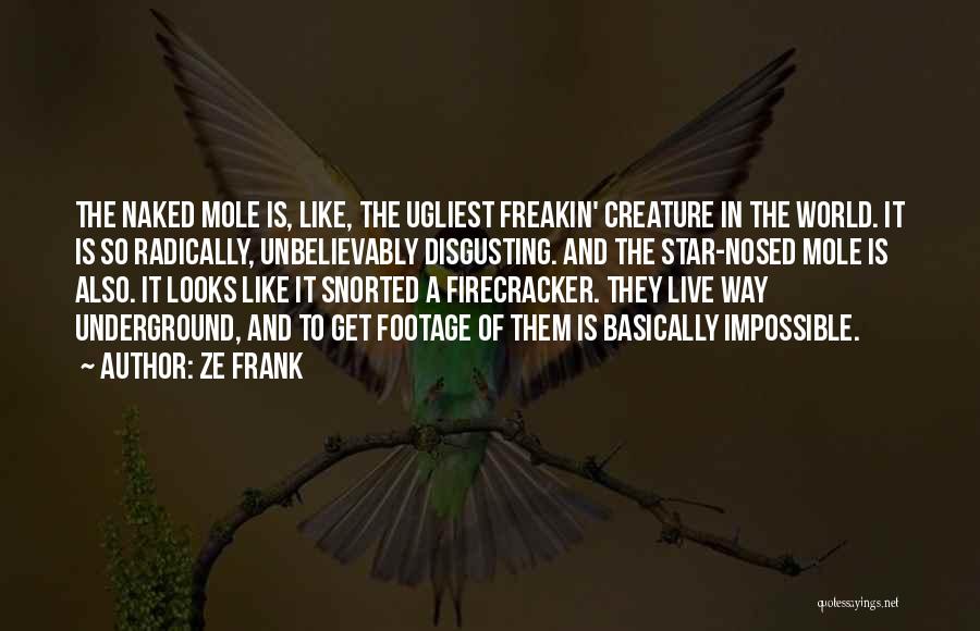 Ze Frank Quotes: The Naked Mole Is, Like, The Ugliest Freakin' Creature In The World. It Is So Radically, Unbelievably Disgusting. And The