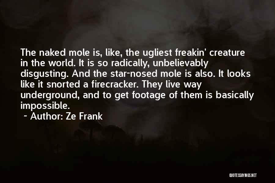 Ze Frank Quotes: The Naked Mole Is, Like, The Ugliest Freakin' Creature In The World. It Is So Radically, Unbelievably Disgusting. And The