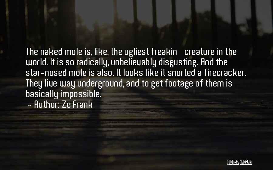 Ze Frank Quotes: The Naked Mole Is, Like, The Ugliest Freakin' Creature In The World. It Is So Radically, Unbelievably Disgusting. And The