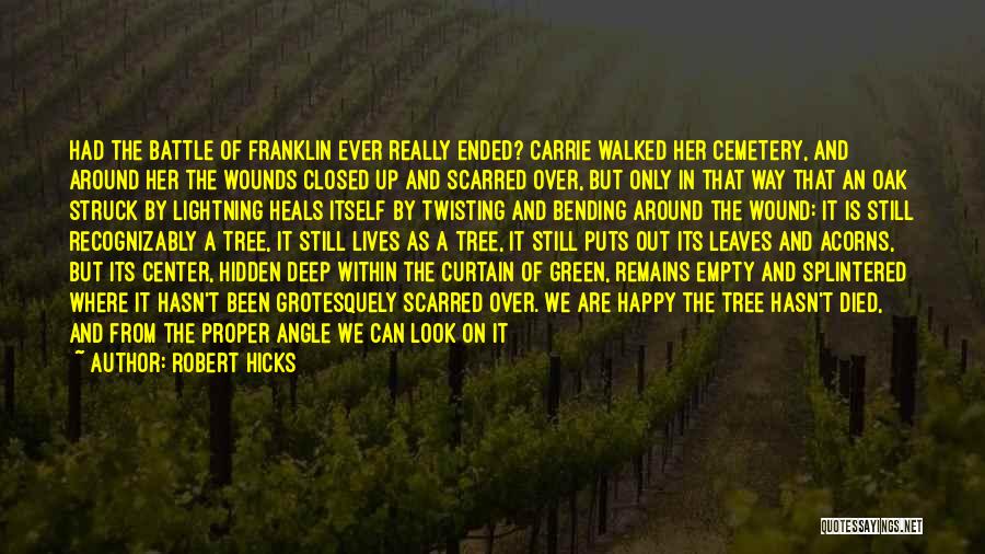 Robert Hicks Quotes: Had The Battle Of Franklin Ever Really Ended? Carrie Walked Her Cemetery, And Around Her The Wounds Closed Up And