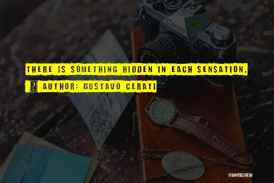Gustavo Cerati Quotes: There Is Something Hidden In Each Sensation.