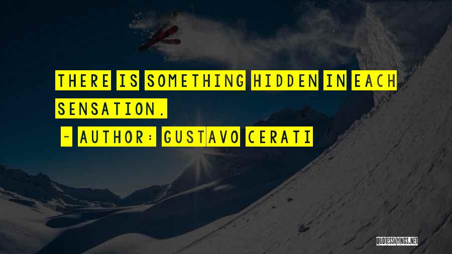 Gustavo Cerati Quotes: There Is Something Hidden In Each Sensation.