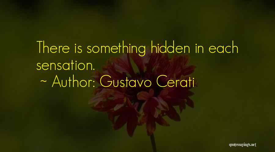 Gustavo Cerati Quotes: There Is Something Hidden In Each Sensation.