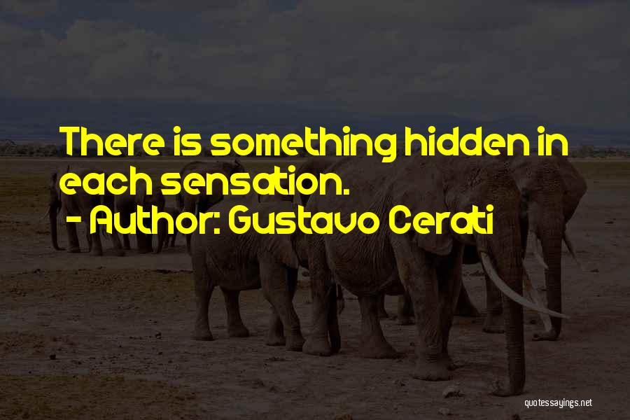 Gustavo Cerati Quotes: There Is Something Hidden In Each Sensation.