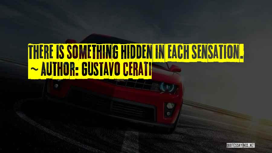 Gustavo Cerati Quotes: There Is Something Hidden In Each Sensation.