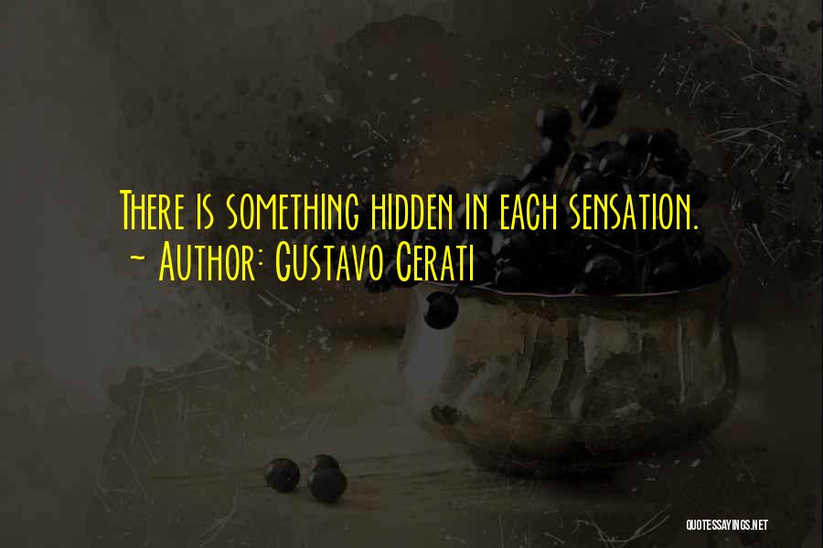 Gustavo Cerati Quotes: There Is Something Hidden In Each Sensation.