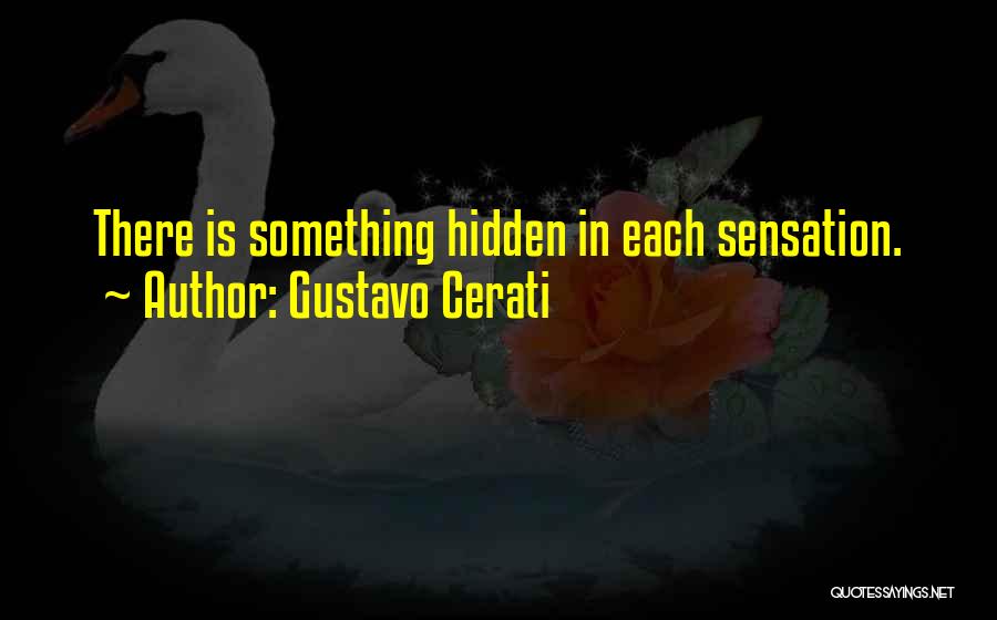 Gustavo Cerati Quotes: There Is Something Hidden In Each Sensation.