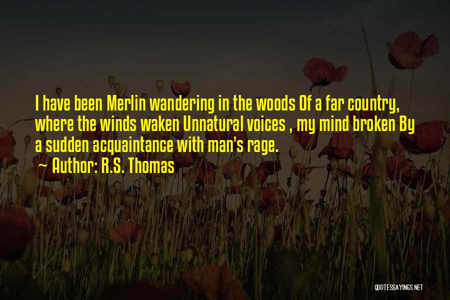 R.S. Thomas Quotes: I Have Been Merlin Wandering In The Woods Of A Far Country, Where The Winds Waken Unnatural Voices , My