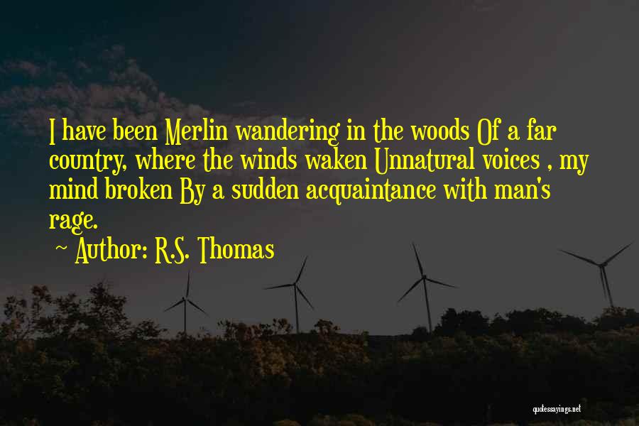 R.S. Thomas Quotes: I Have Been Merlin Wandering In The Woods Of A Far Country, Where The Winds Waken Unnatural Voices , My