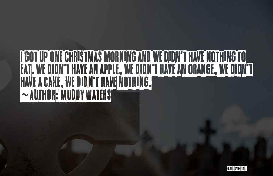 Muddy Waters Quotes: I Got Up One Christmas Morning And We Didn't Have Nothing To Eat. We Didn't Have An Apple, We Didn't