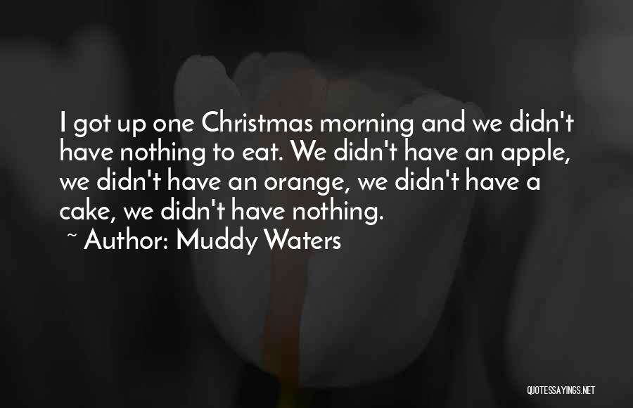 Muddy Waters Quotes: I Got Up One Christmas Morning And We Didn't Have Nothing To Eat. We Didn't Have An Apple, We Didn't