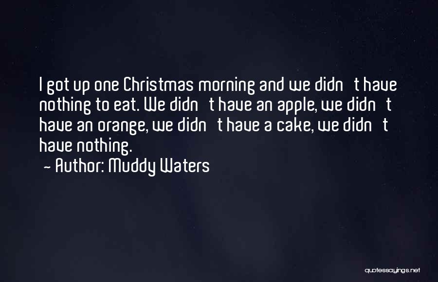 Muddy Waters Quotes: I Got Up One Christmas Morning And We Didn't Have Nothing To Eat. We Didn't Have An Apple, We Didn't