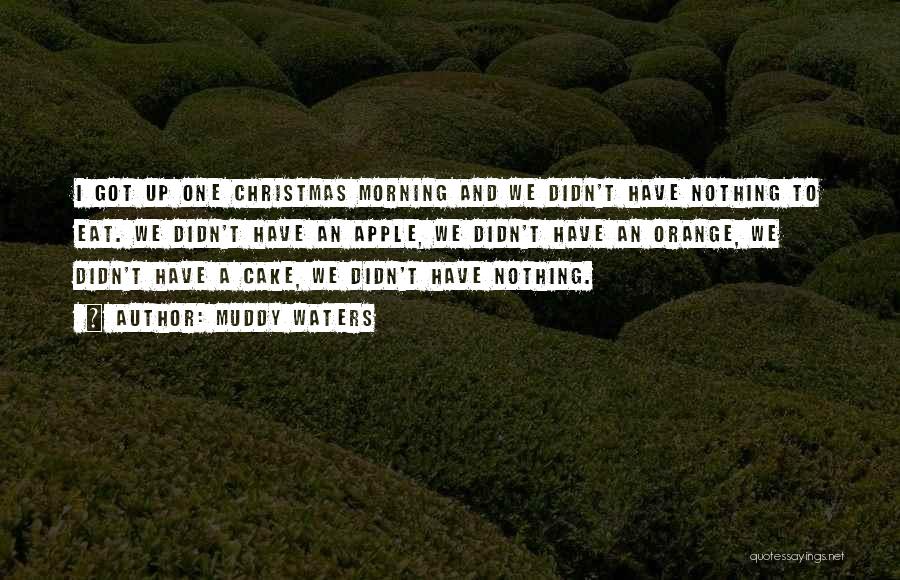 Muddy Waters Quotes: I Got Up One Christmas Morning And We Didn't Have Nothing To Eat. We Didn't Have An Apple, We Didn't