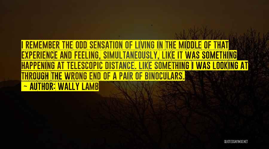 Wally Lamb Quotes: I Remember The Odd Sensation Of Living In The Middle Of That Experience And Feeling, Simultaneously, Like It Was Something