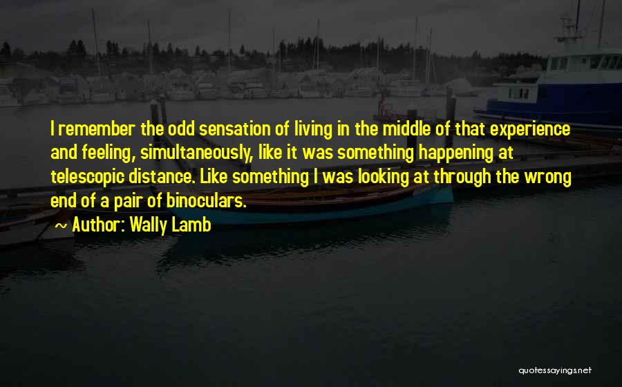 Wally Lamb Quotes: I Remember The Odd Sensation Of Living In The Middle Of That Experience And Feeling, Simultaneously, Like It Was Something