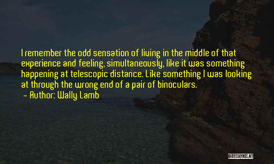 Wally Lamb Quotes: I Remember The Odd Sensation Of Living In The Middle Of That Experience And Feeling, Simultaneously, Like It Was Something