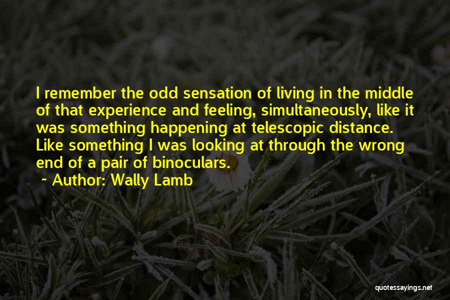 Wally Lamb Quotes: I Remember The Odd Sensation Of Living In The Middle Of That Experience And Feeling, Simultaneously, Like It Was Something