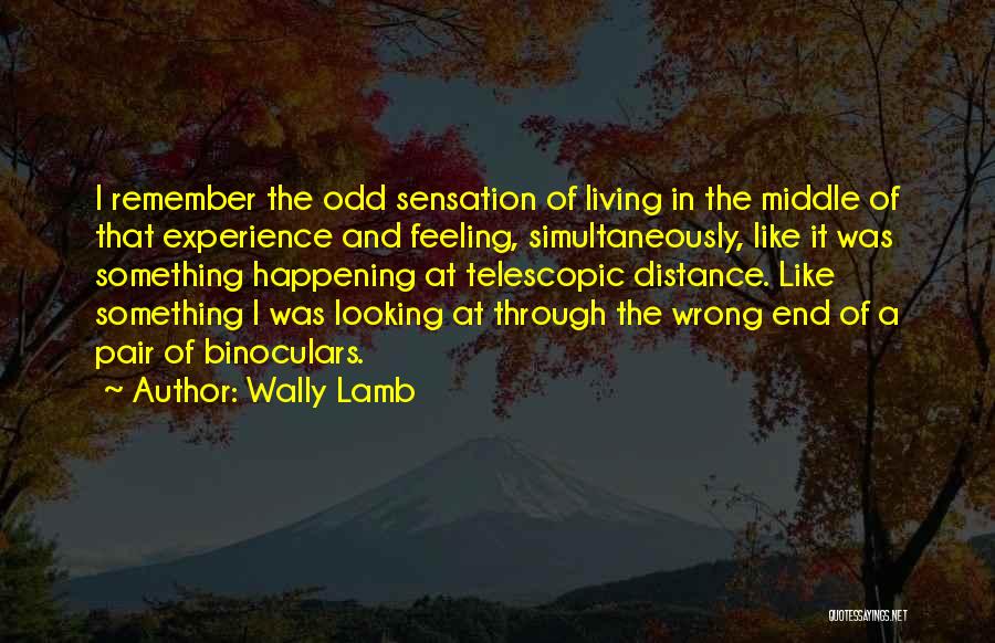 Wally Lamb Quotes: I Remember The Odd Sensation Of Living In The Middle Of That Experience And Feeling, Simultaneously, Like It Was Something