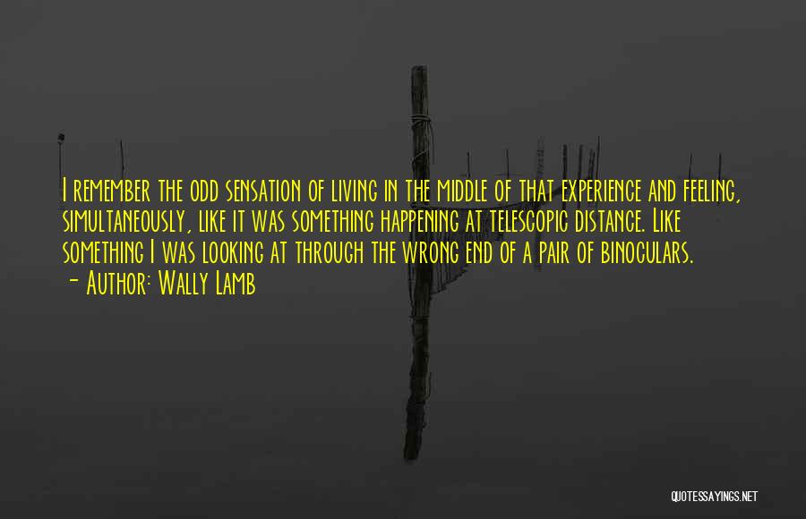 Wally Lamb Quotes: I Remember The Odd Sensation Of Living In The Middle Of That Experience And Feeling, Simultaneously, Like It Was Something