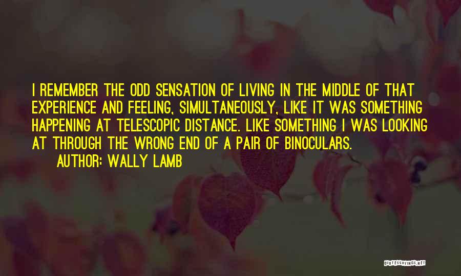Wally Lamb Quotes: I Remember The Odd Sensation Of Living In The Middle Of That Experience And Feeling, Simultaneously, Like It Was Something