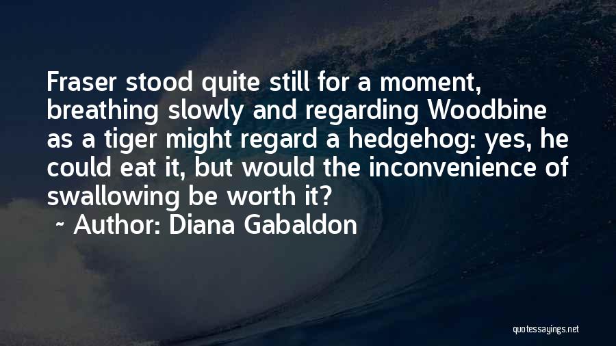 Diana Gabaldon Quotes: Fraser Stood Quite Still For A Moment, Breathing Slowly And Regarding Woodbine As A Tiger Might Regard A Hedgehog: Yes,