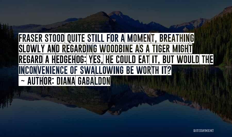 Diana Gabaldon Quotes: Fraser Stood Quite Still For A Moment, Breathing Slowly And Regarding Woodbine As A Tiger Might Regard A Hedgehog: Yes,