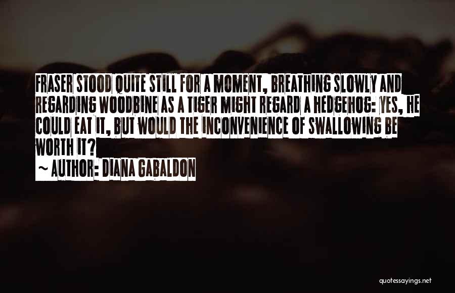 Diana Gabaldon Quotes: Fraser Stood Quite Still For A Moment, Breathing Slowly And Regarding Woodbine As A Tiger Might Regard A Hedgehog: Yes,