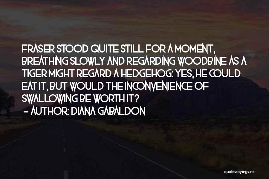 Diana Gabaldon Quotes: Fraser Stood Quite Still For A Moment, Breathing Slowly And Regarding Woodbine As A Tiger Might Regard A Hedgehog: Yes,