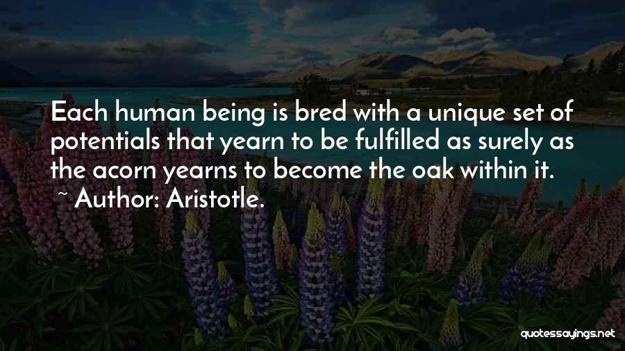 Aristotle. Quotes: Each Human Being Is Bred With A Unique Set Of Potentials That Yearn To Be Fulfilled As Surely As The