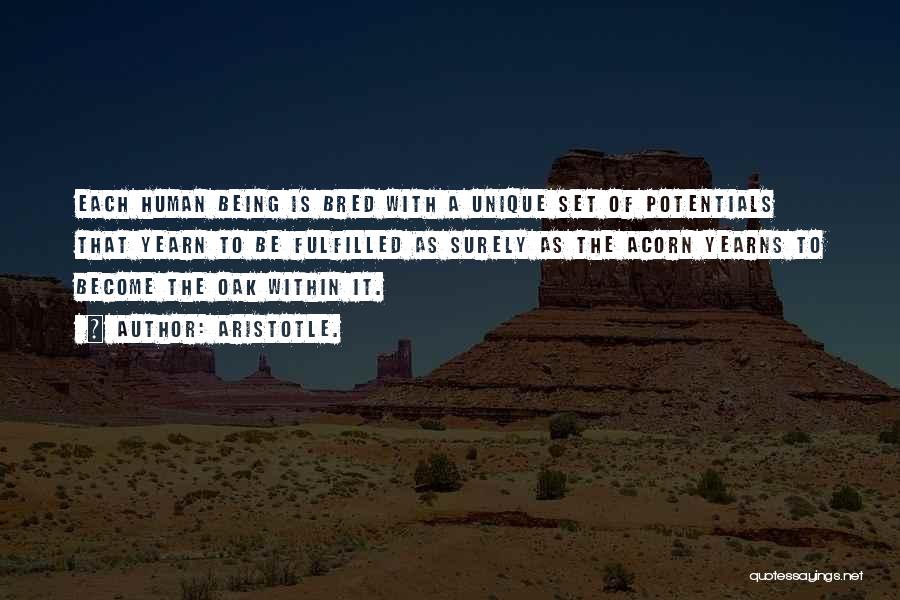 Aristotle. Quotes: Each Human Being Is Bred With A Unique Set Of Potentials That Yearn To Be Fulfilled As Surely As The