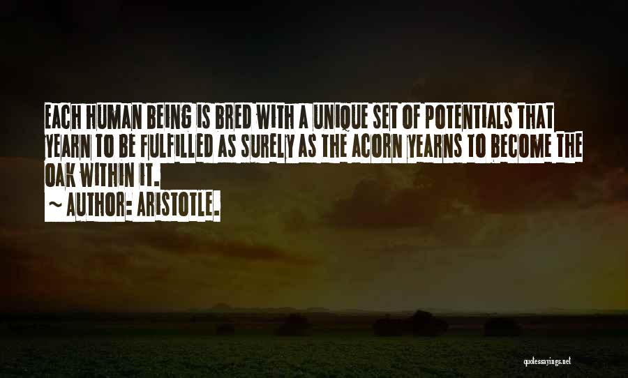 Aristotle. Quotes: Each Human Being Is Bred With A Unique Set Of Potentials That Yearn To Be Fulfilled As Surely As The