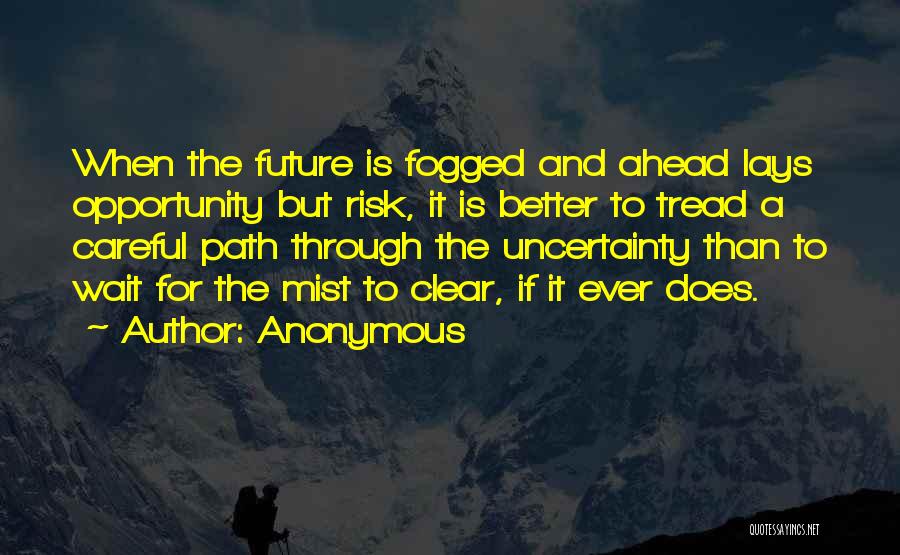 Anonymous Quotes: When The Future Is Fogged And Ahead Lays Opportunity But Risk, It Is Better To Tread A Careful Path Through