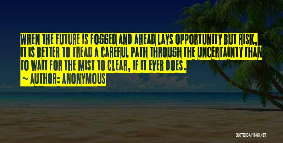 Anonymous Quotes: When The Future Is Fogged And Ahead Lays Opportunity But Risk, It Is Better To Tread A Careful Path Through