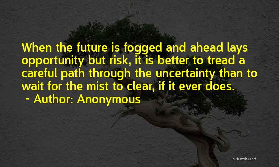 Anonymous Quotes: When The Future Is Fogged And Ahead Lays Opportunity But Risk, It Is Better To Tread A Careful Path Through