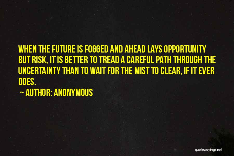 Anonymous Quotes: When The Future Is Fogged And Ahead Lays Opportunity But Risk, It Is Better To Tread A Careful Path Through