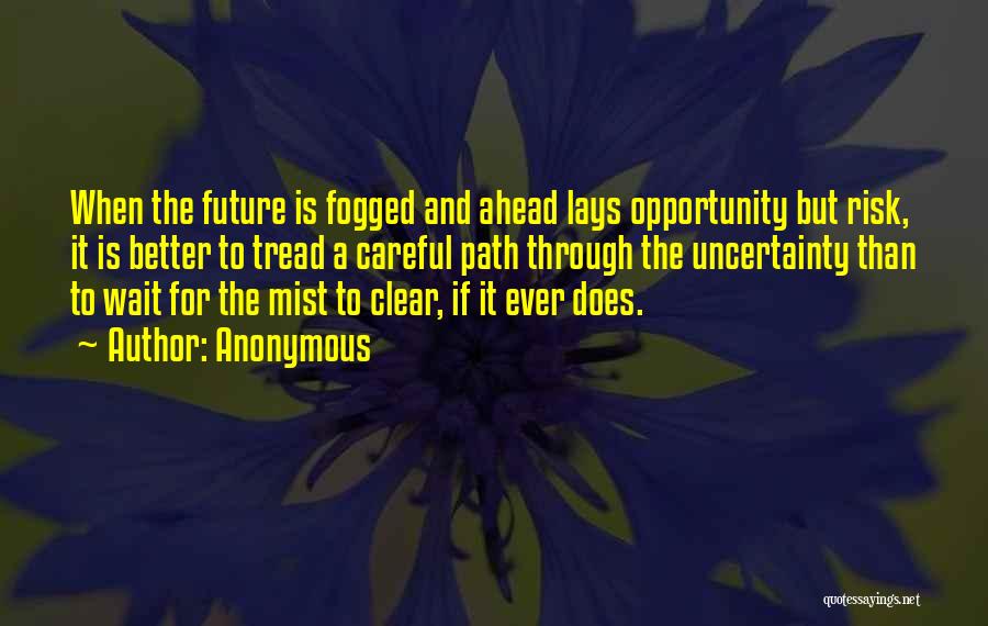 Anonymous Quotes: When The Future Is Fogged And Ahead Lays Opportunity But Risk, It Is Better To Tread A Careful Path Through