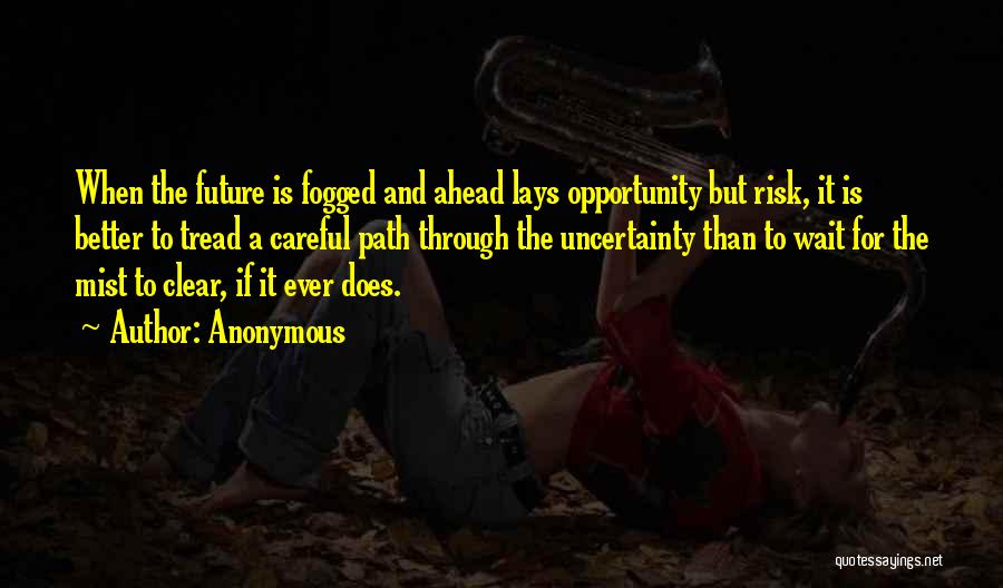 Anonymous Quotes: When The Future Is Fogged And Ahead Lays Opportunity But Risk, It Is Better To Tread A Careful Path Through