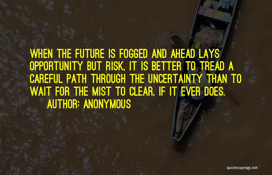 Anonymous Quotes: When The Future Is Fogged And Ahead Lays Opportunity But Risk, It Is Better To Tread A Careful Path Through