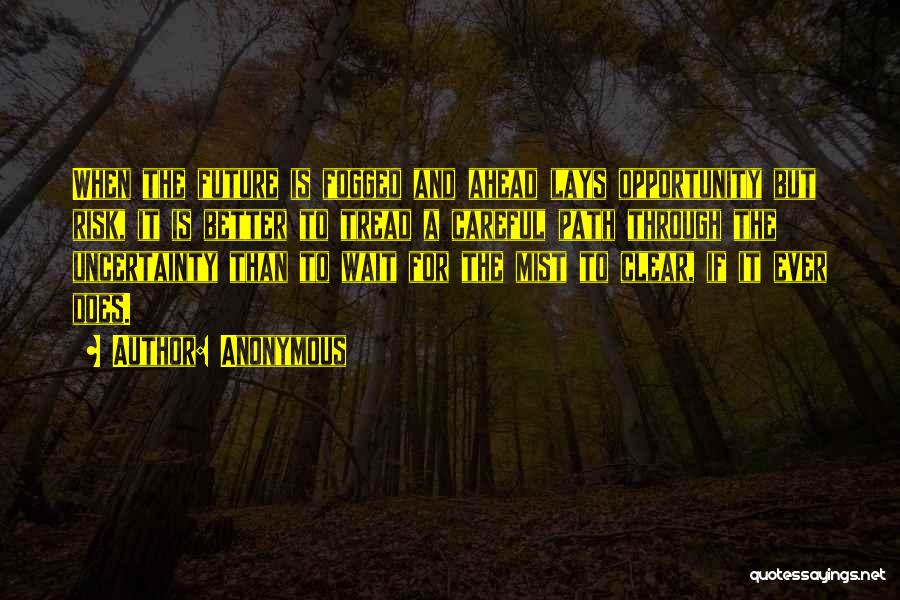 Anonymous Quotes: When The Future Is Fogged And Ahead Lays Opportunity But Risk, It Is Better To Tread A Careful Path Through