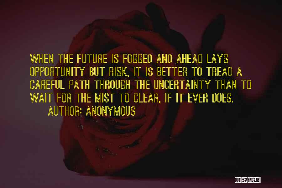 Anonymous Quotes: When The Future Is Fogged And Ahead Lays Opportunity But Risk, It Is Better To Tread A Careful Path Through