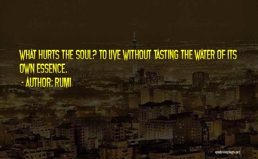 Rumi Quotes: What Hurts The Soul? To Live Without Tasting The Water Of Its Own Essence.