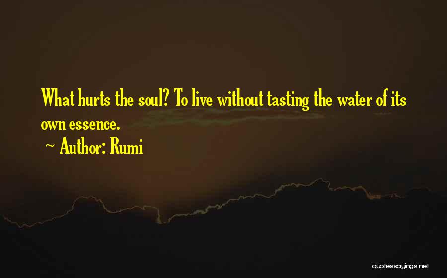 Rumi Quotes: What Hurts The Soul? To Live Without Tasting The Water Of Its Own Essence.