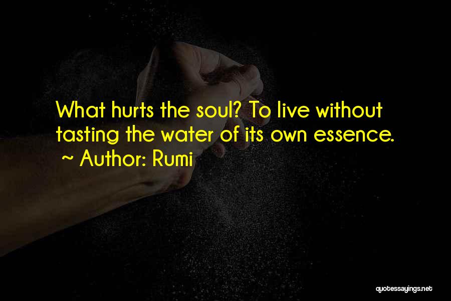 Rumi Quotes: What Hurts The Soul? To Live Without Tasting The Water Of Its Own Essence.
