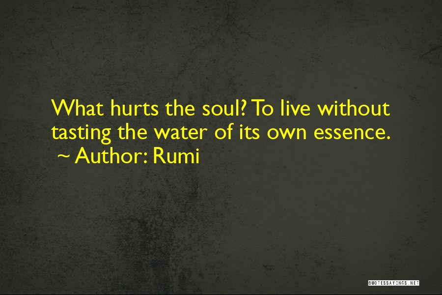 Rumi Quotes: What Hurts The Soul? To Live Without Tasting The Water Of Its Own Essence.